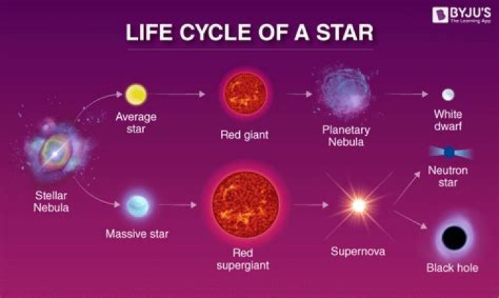 A Look At The Life Of A Rising Star