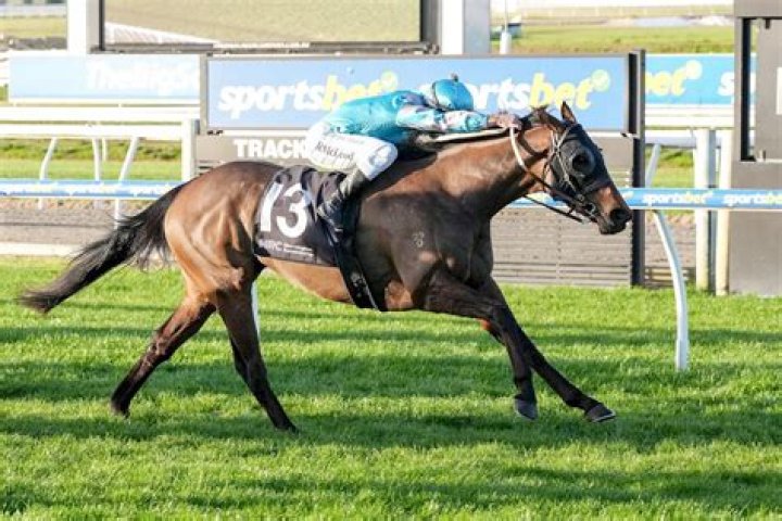 A Prism Of LGBTQ+ Triumphs