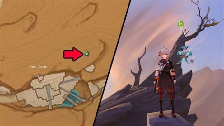 All 6 Dendroculus locations in Wadi Al-Majuj (Desert of Hadramaveth)