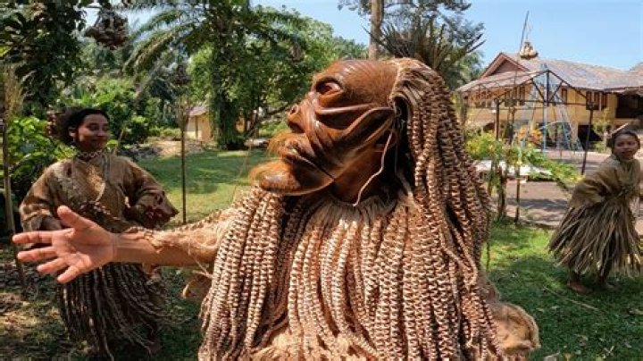 Explore His Wiki For Surprising Discoveries