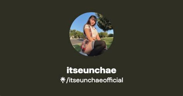 Exploring The World Of Itseunchae OnlyFans