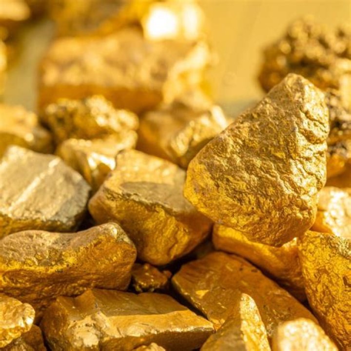 Gold Rush, Discoveries, And Business Acumen
