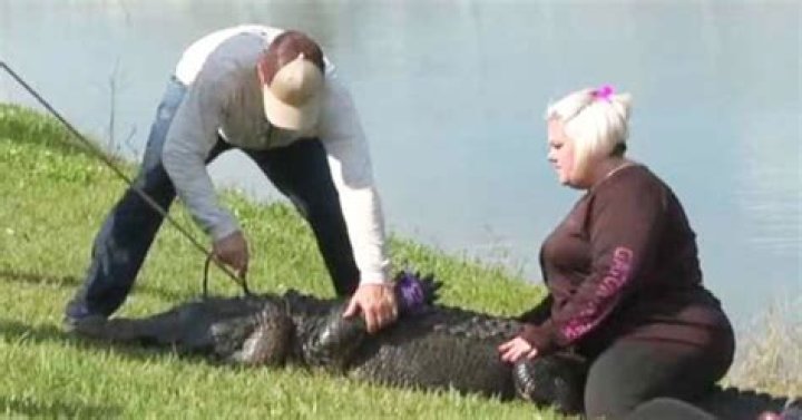 Horrifying video reveals last moments of grandma, 85, killed by 10-foot alligator ·
