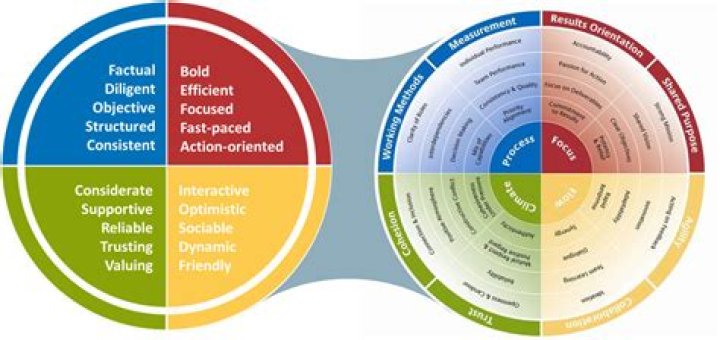 Insights For The VisionaryVoice17 Niche