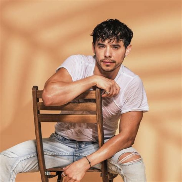 Is David Archuleta Gay? Partner And Relationship ·