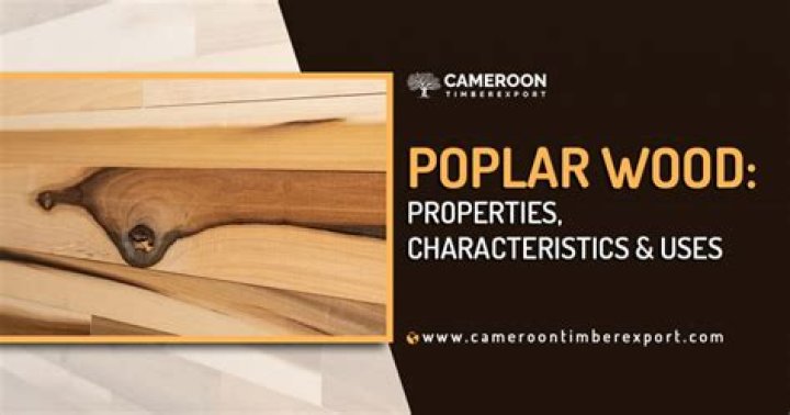 Is poplar wood good for outside use?
