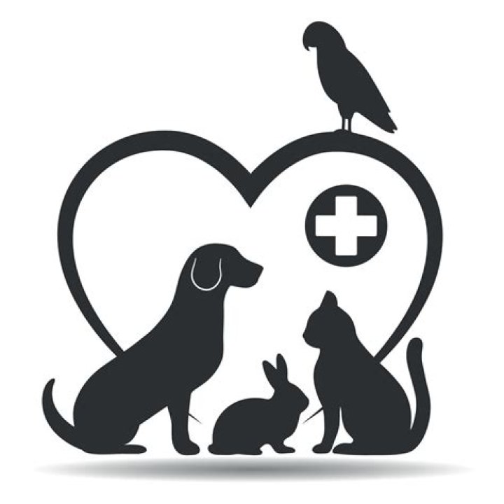 Meet The Family Of The Famous Veterinarian