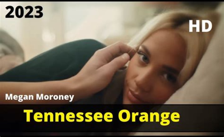 Megan Mahoney Tennessee Orange Incident