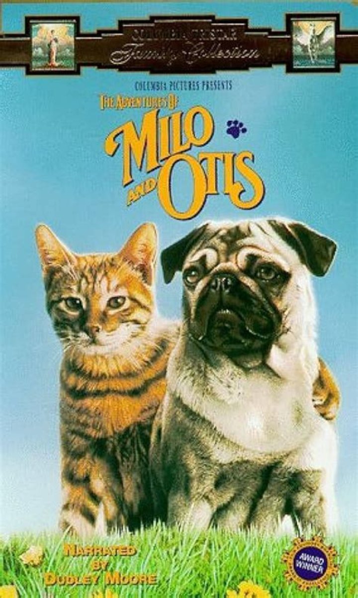 "Milo And Otis" Animal Cruelty Exposed