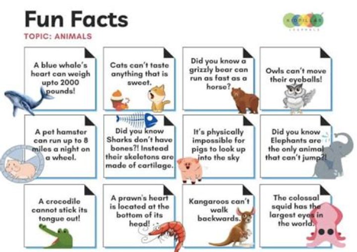 Surprising Insights And Fascinating Facts