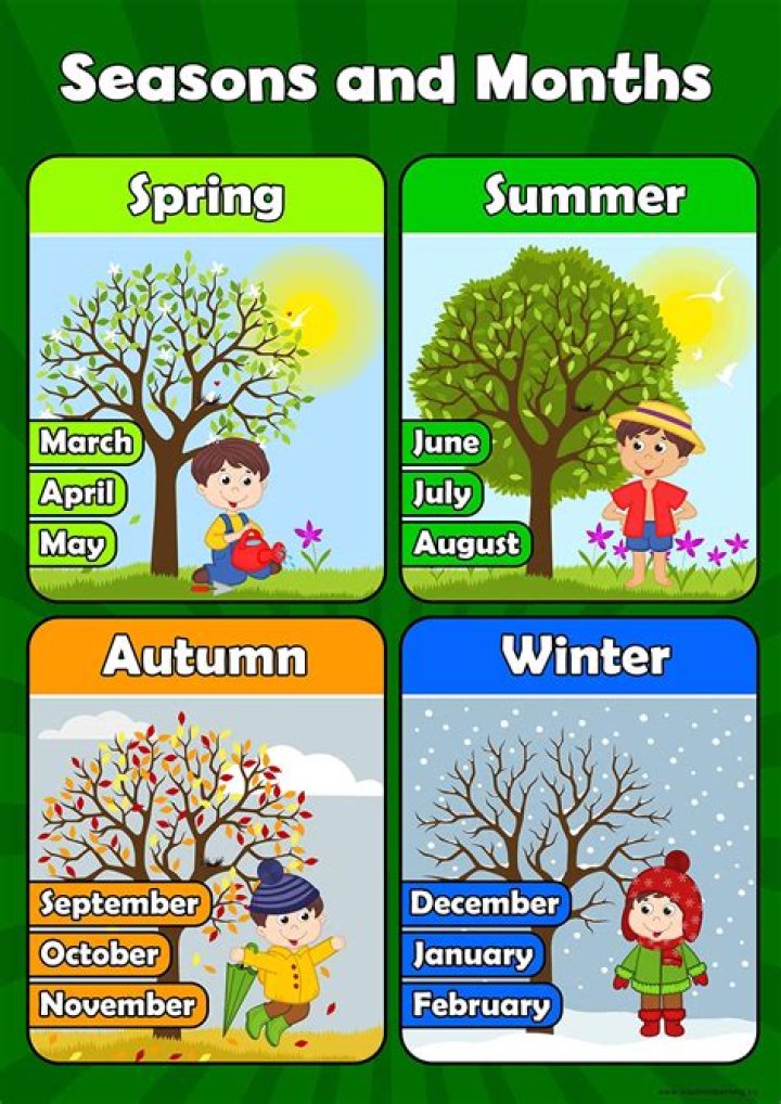 Uncover The Number Of Seasons