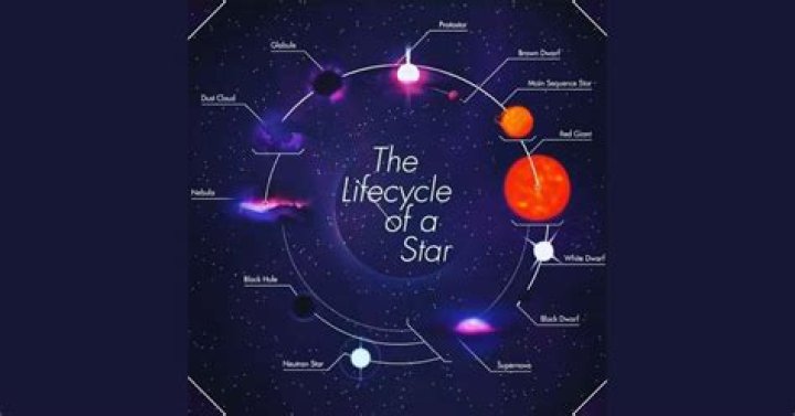 Uncovering The Life Of A Rising Star