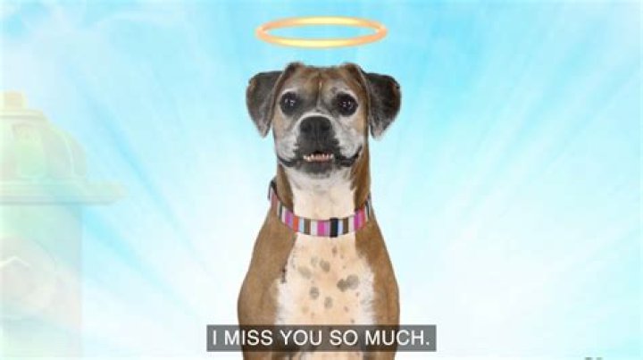 Unlock The Secrets Of "Congrats Or Sorry That Happened": Discoveries And Insights