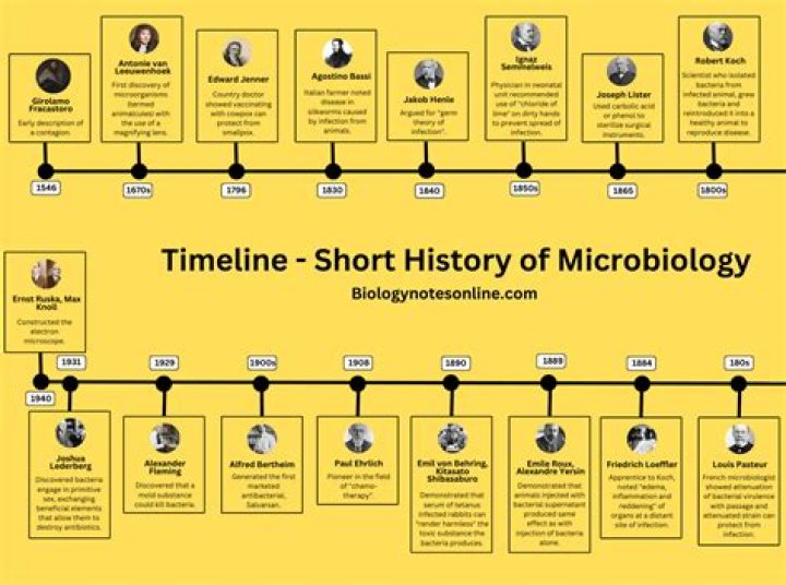 Unveiling Kathryn Holcomb's Age: Discoveries And Insights