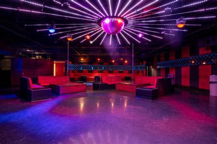 Unveiling The Allure Of Miami Velvet