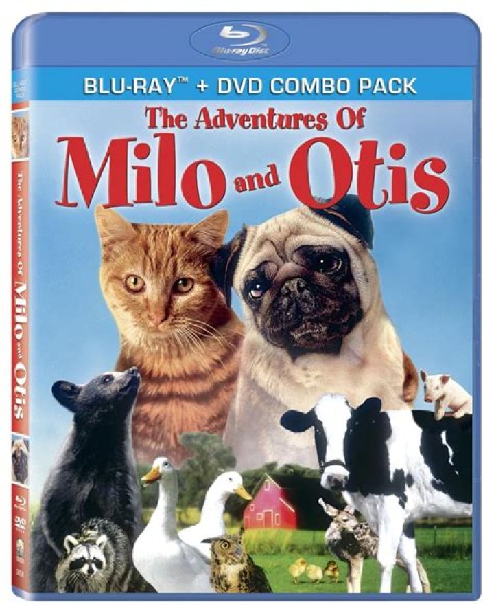 Unveiling The Heartbreaking Story Behind "Milo And Otis Deaths"