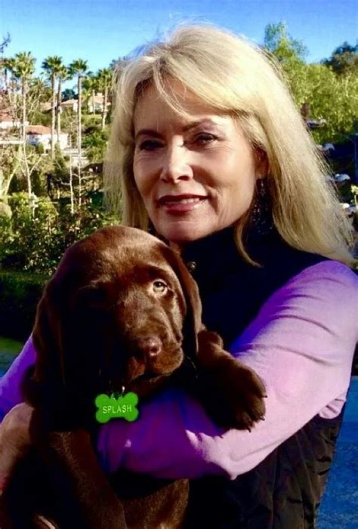 Wedding Susan Dee Robbins